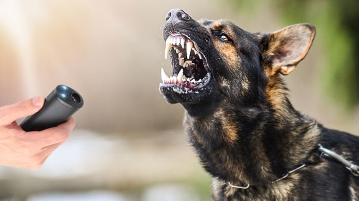 How To Get Any Dog To Stop Barking & Listen