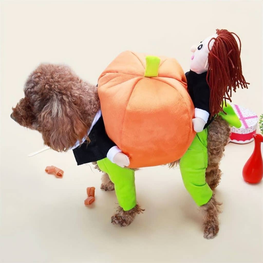 dog costumes for humans