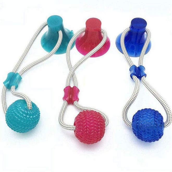 dogsfuns Suction Cup Dog Tug Toy