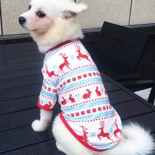 Dog And Owner Matching Christmas Pajamas
 Santa Dog and Owner Matching Pajamas for Sale in Dogsfuns