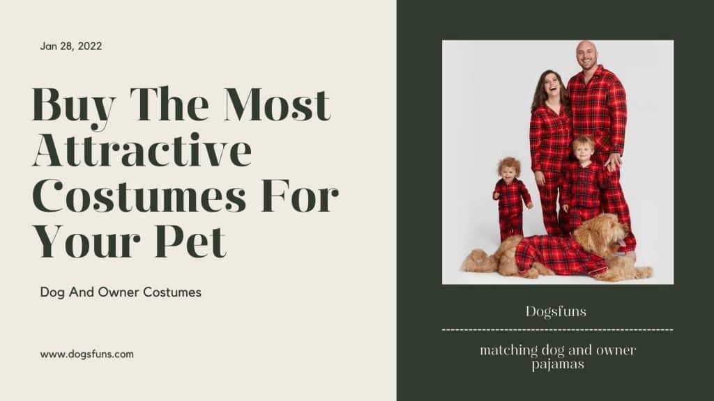 Buy The Most Attractive Costumes For Your Pet