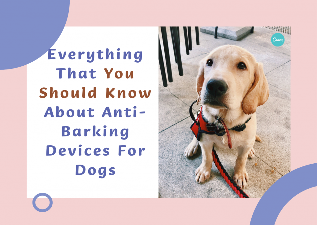 dogsfuns Anti-Barking Devices