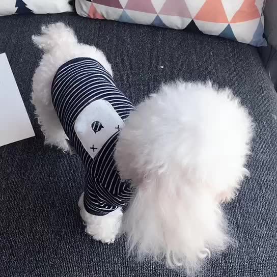 dog and owner matching pajamas