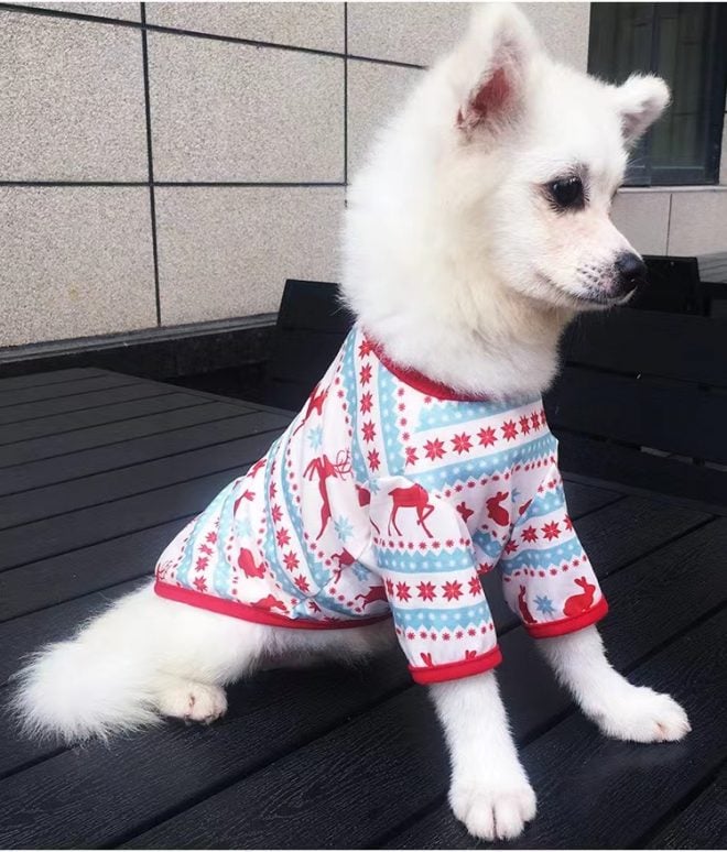 matching dog and owner pajamas