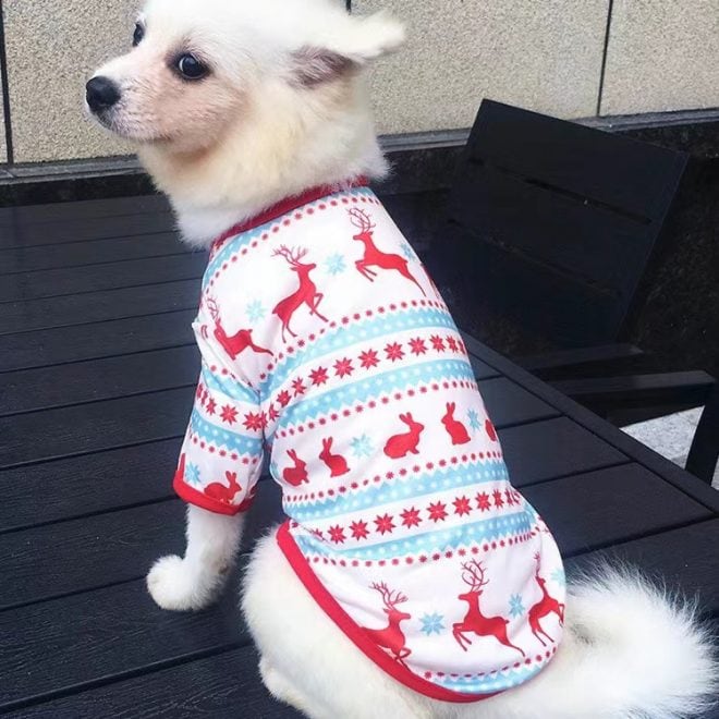 matching dog and owner pajamas