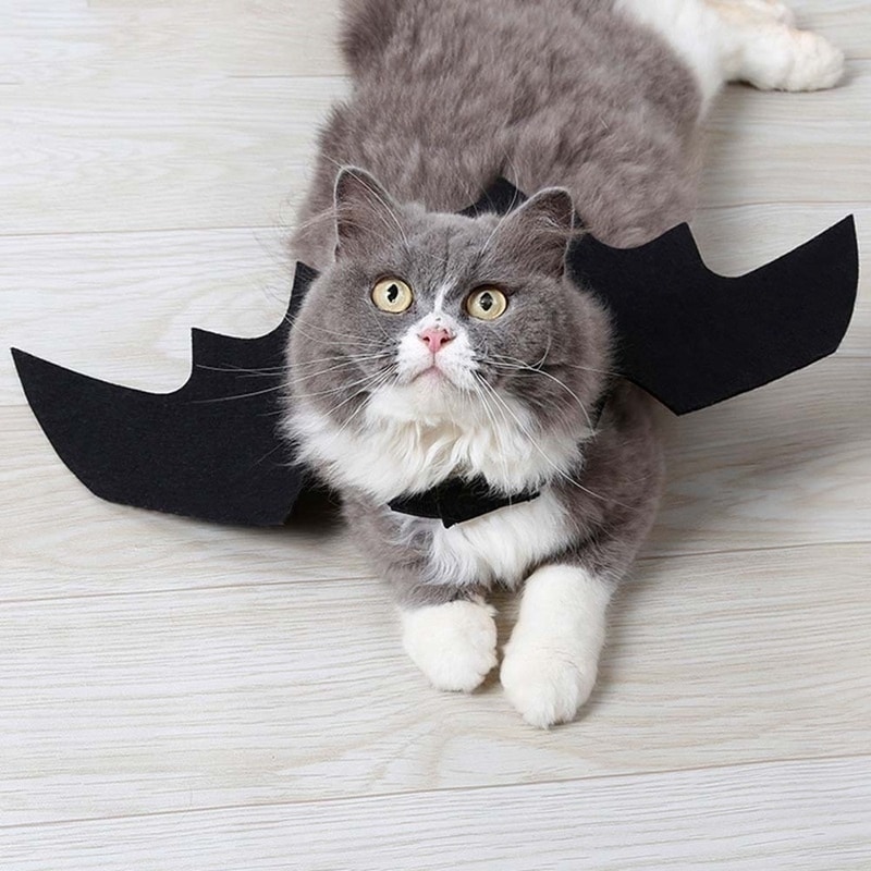 Pet Costume Bat Wings Cosplay Dog