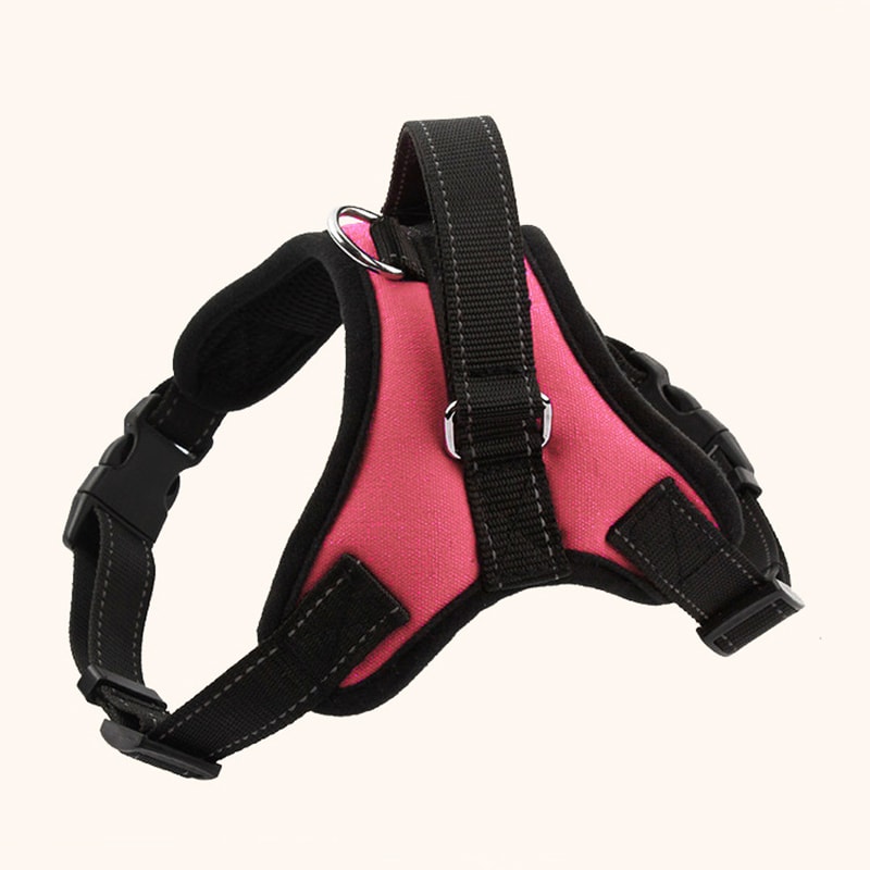 Adjustable Dog Harness with Handle