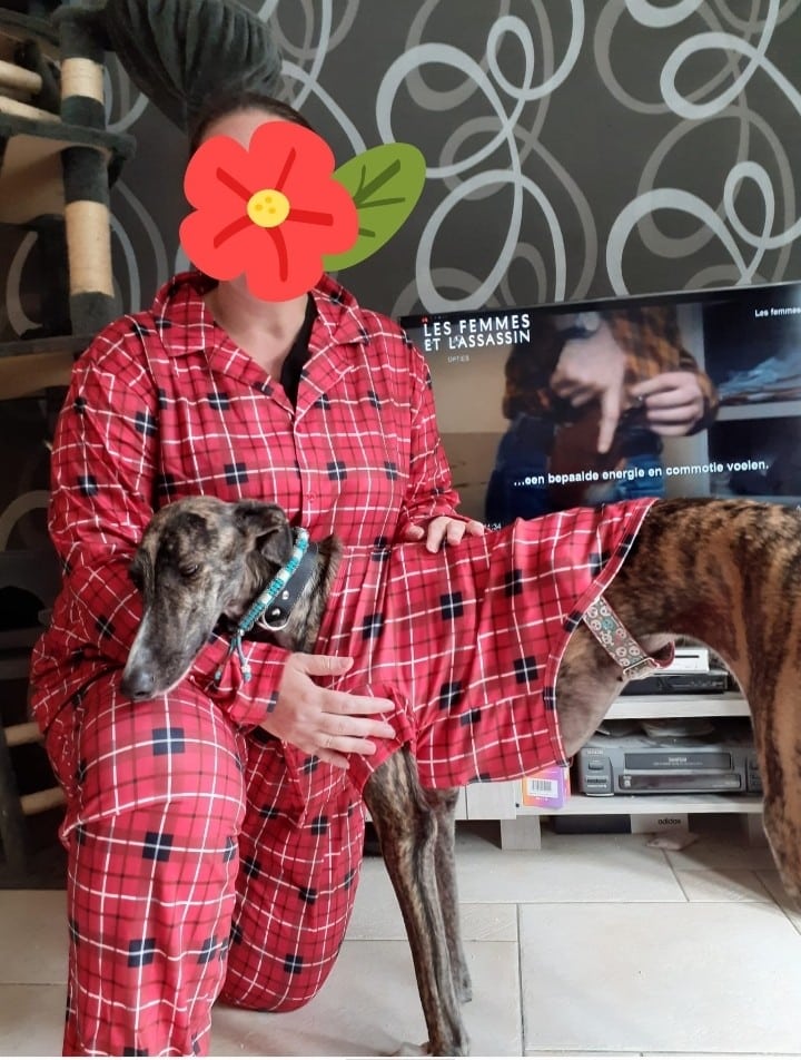 plaid matching family pajamas4
