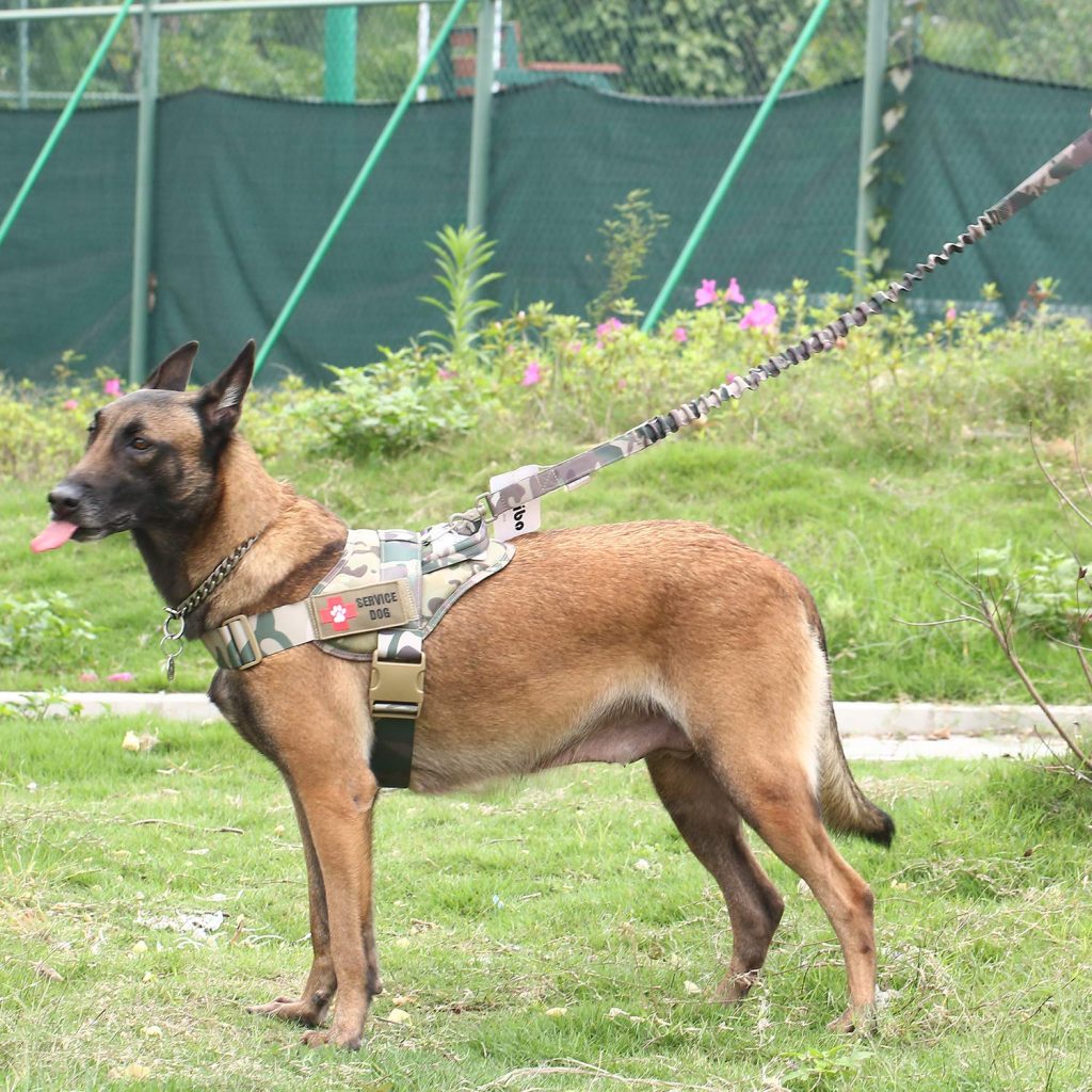 k9 military dog harness17