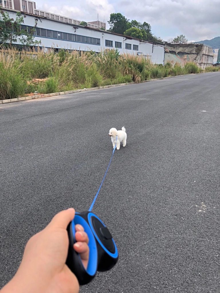 long retractable dog leash