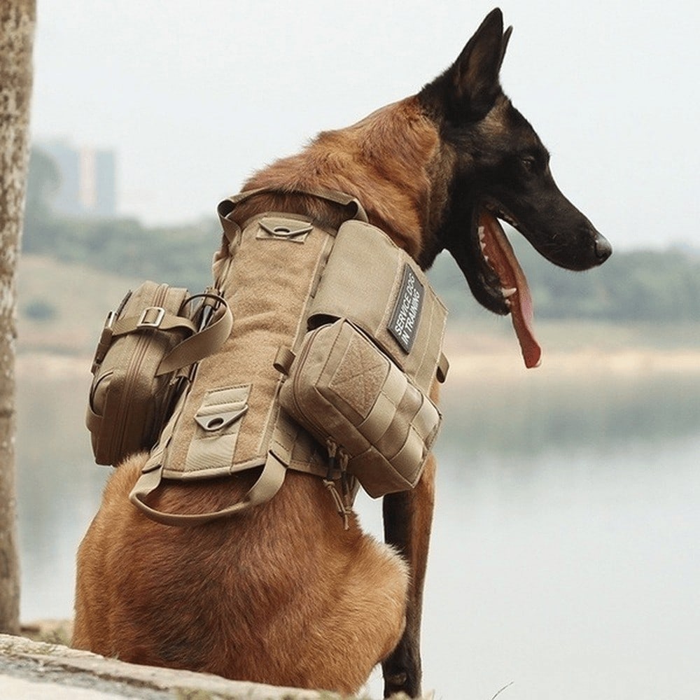 K9 No Pull Vest Harness With 3 Pouches