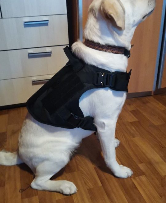 tactical dog harness 07