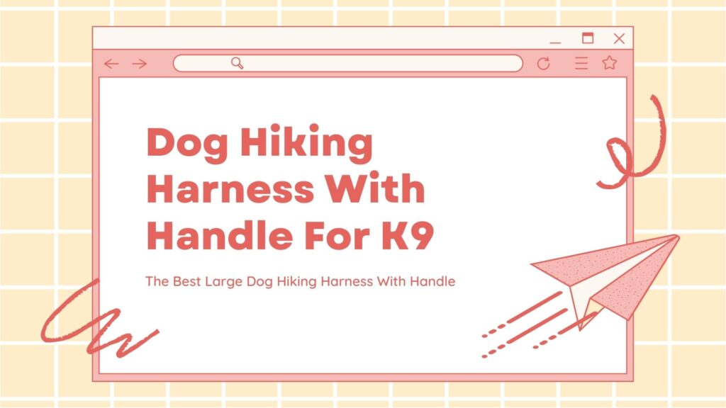 The Best Large Dog Hiking Harness With Handle