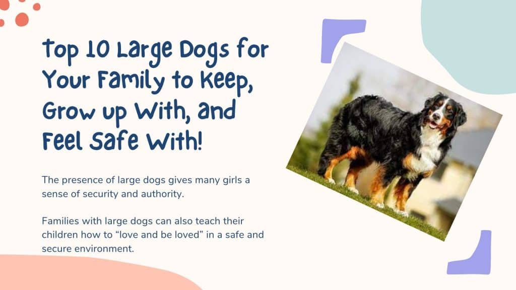 Top 10 Large Dogs for Your Family to Keep
