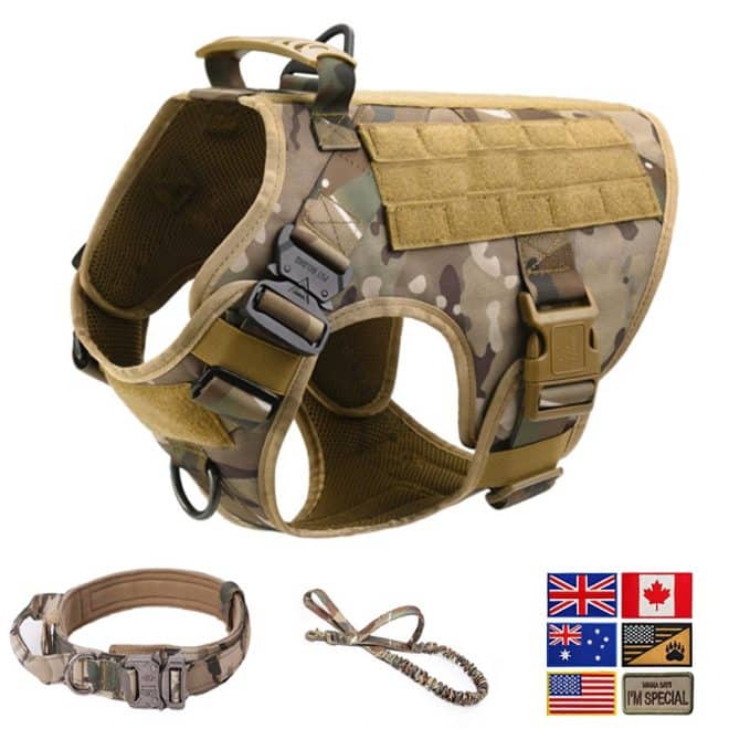 Tactical No Pull Dog Harness Set v2 - Camouflage