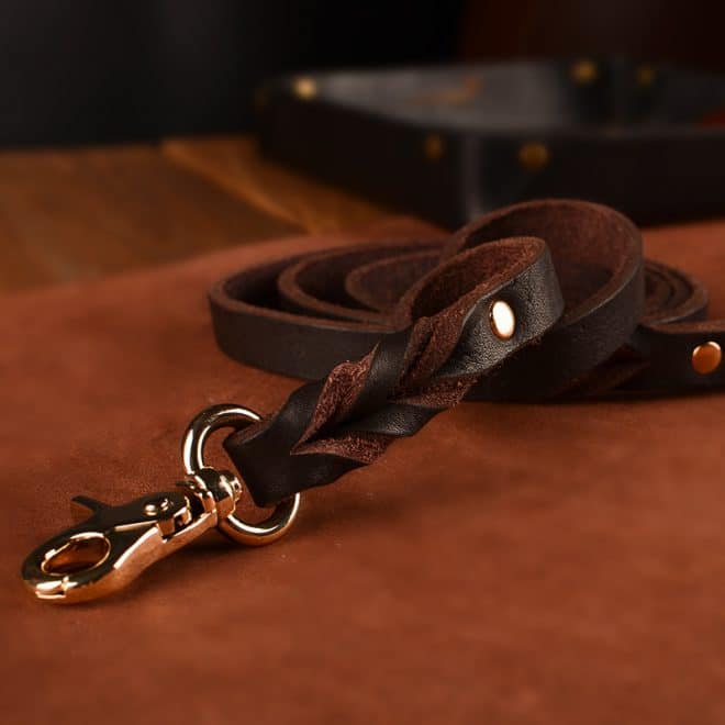 Dogsfuns leather dog leash