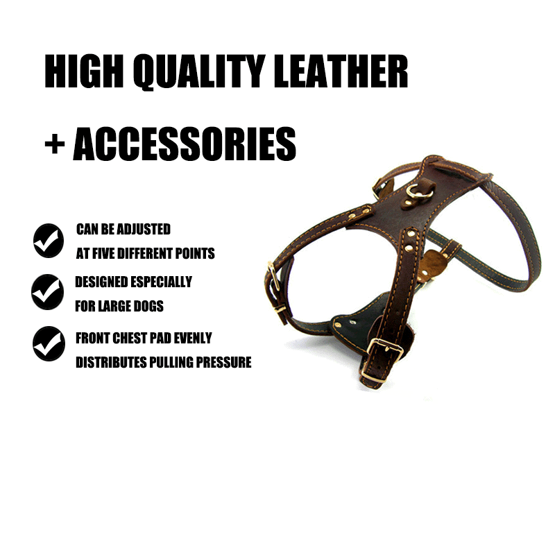 Double Layer Leather Dog Harness