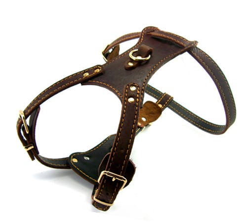 Dogsfuns Double Layer Leather Dog Harness