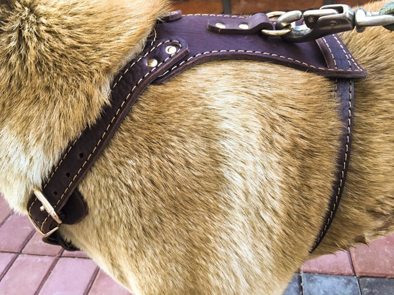 Double Layer Leather Dog Harness