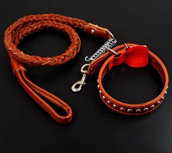 k9 Dog Leash And Collar