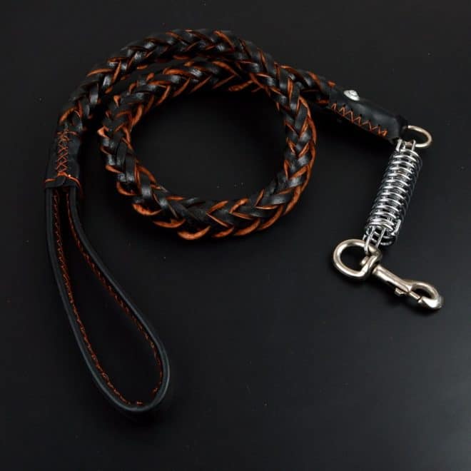 dogsfuns ko Dog Leash And Collar