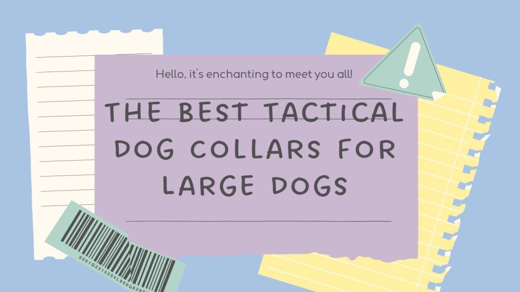 3 Steps To Choose The Best Tactical Dog Collars For Large Dogs