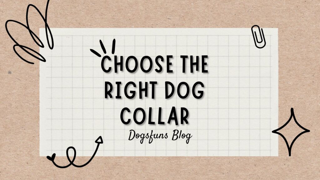 How To Choose The Right Dog Collar