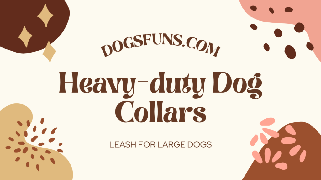 Different Types Of Heavy-duty Dog Collars