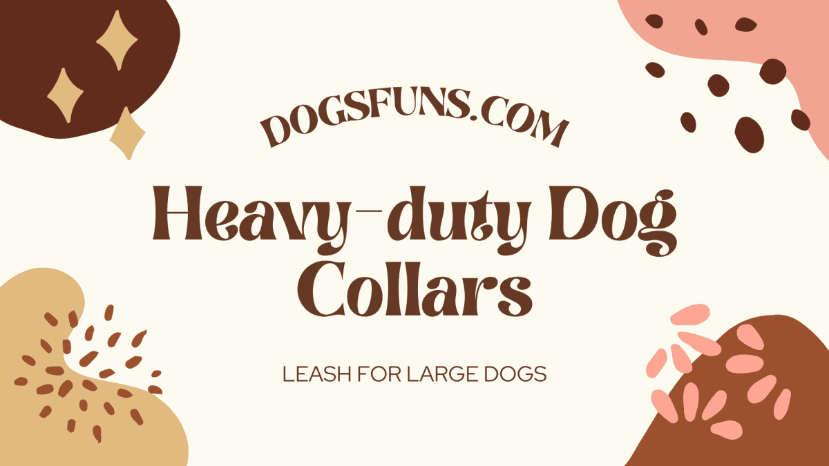 Different Types Of Heavy-duty Dog Collars, How To Choose A Leash For Large Dogs