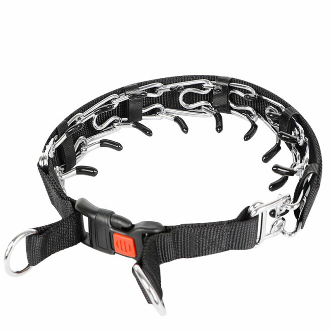 Dog Training Collar with Buckle For Large Dogs