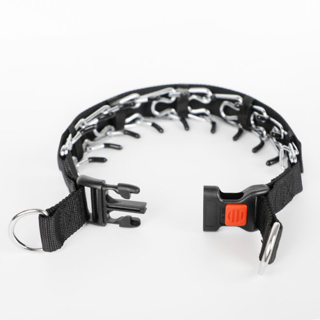 Dog Training Collar with Buckle For Large Dogs