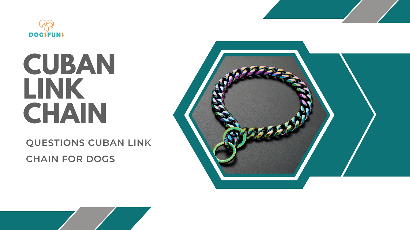 6 Common Questions Cuban Link Chain For Dogs, With The 5th Being The Most Popular