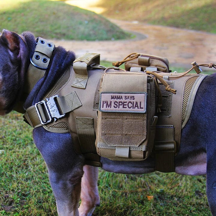 dogsfuns tactical harness set31 kaki