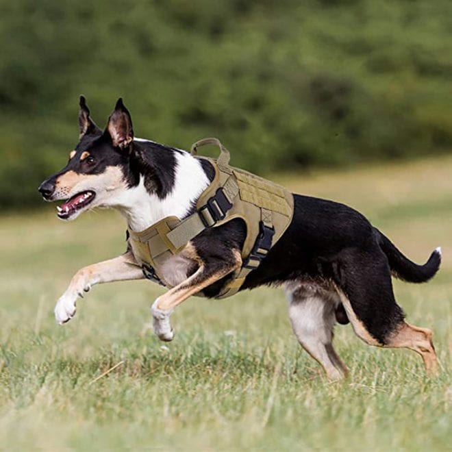 dogsfuns tactical harness set33 kaki 1