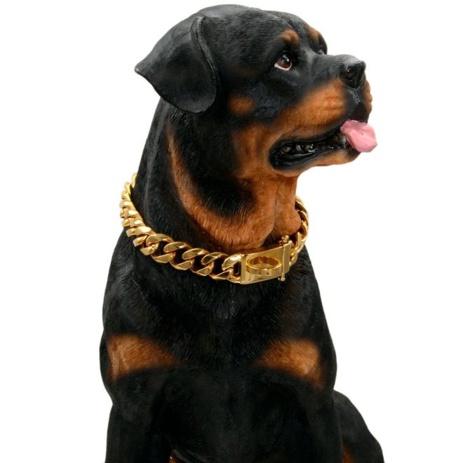 Heavy-duty dog chain