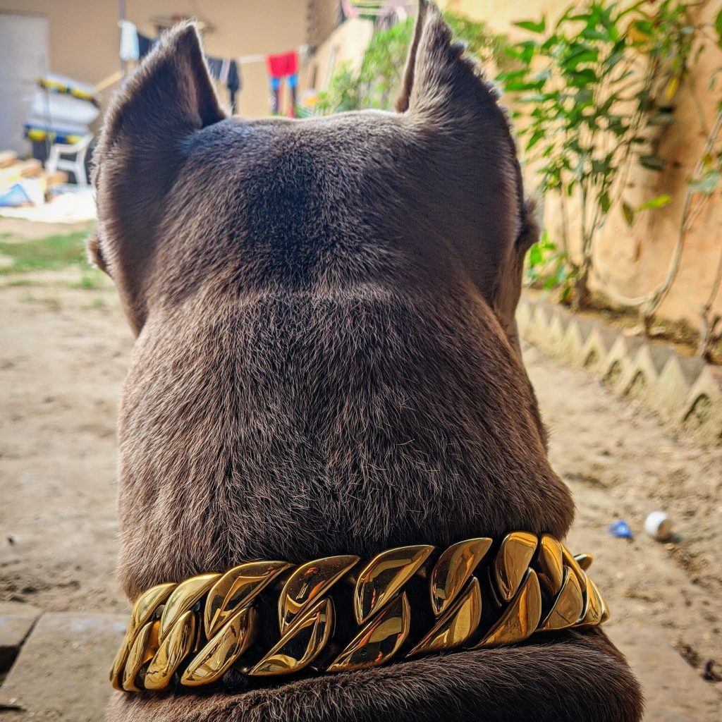 Dogsfuns Metal Dog Chain Collar