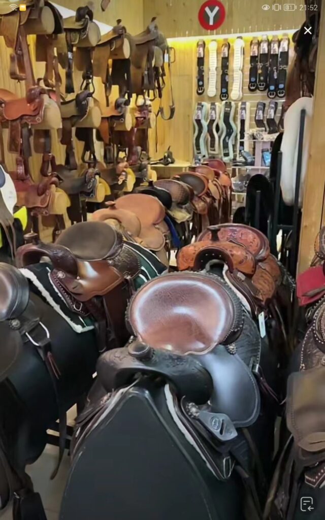 dogsfuns saddle store 13