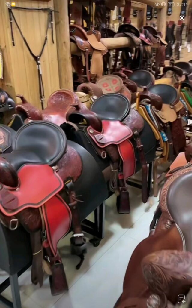 dogsfuns saddle store 2