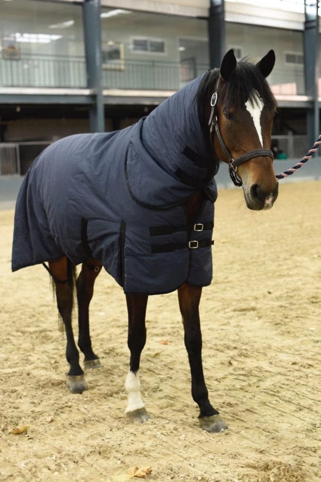 waterproof Medium weight turnout rug