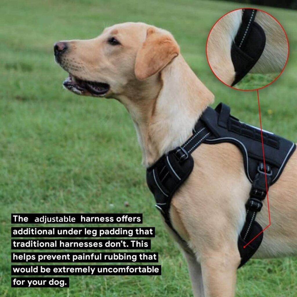 Tactical No Pull Dog Harness V2 by Dogsfuns