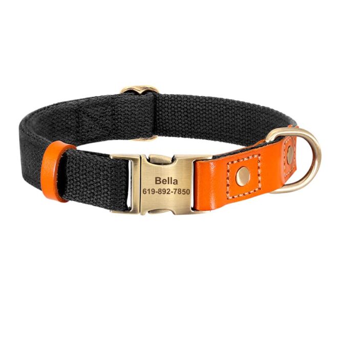 customized dog collar