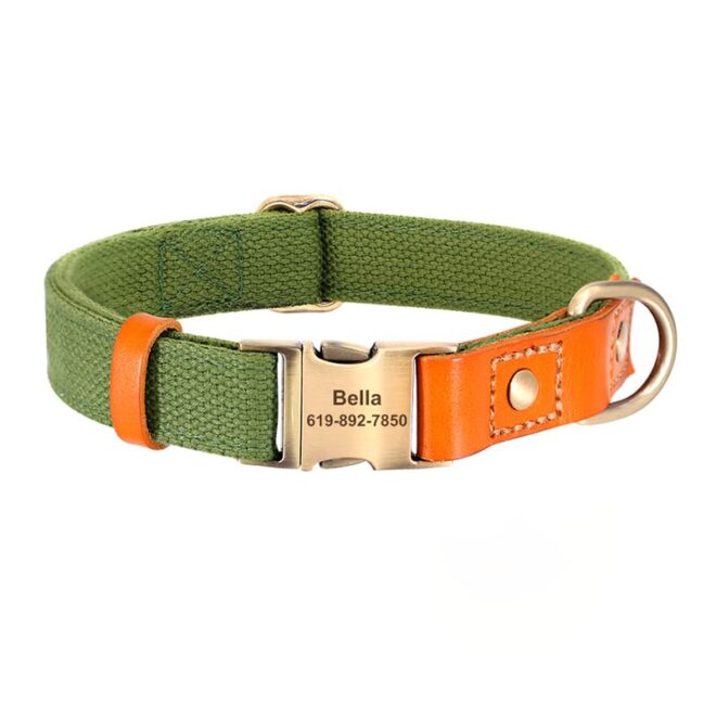 Dogsfuns custom collar for dogs