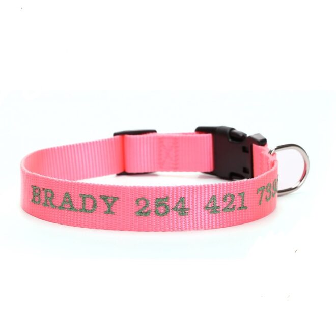 Embroidered Nylon Dog Collar