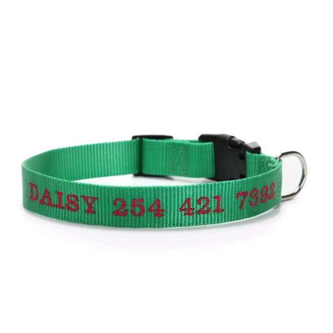 Embroidered Nylon Dog Collar