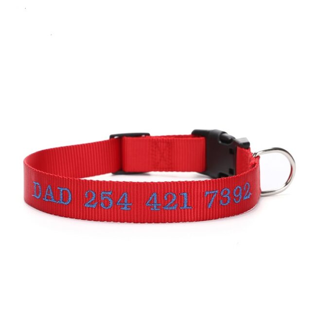 Embroidered Nylon Dog Collar