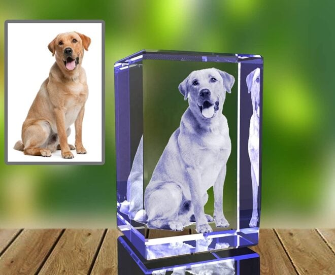 Personalized Pet 3D Engraved Crystal Photo
