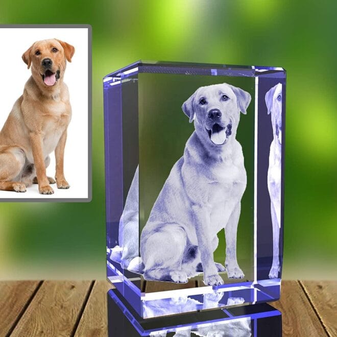 Personalized Pet 3D Engraved Crystal Photo