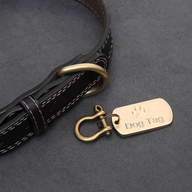 Engraved Pet Dog Tags